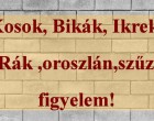 Kosok, Bikák, Ikrek,Rák ,oroszlán,szűz figyelem!holnapi horoszkóp