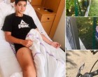 Kedves ISMERETLEN ........TE, ma reggel 7:30-7.45 az Ibolya utca és a Hársfa sor kereszteződésénél nem adtad meg az elsőbbséget a szabályosan közlekedő gyermekemnek!!! A kerékpár hátsó kerekét eltaláltad, aminek következtében a fiam neki repült a drótkerítésnek!!!