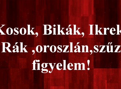Kosok, Bikák, Ikrek,Rák ,oroszlán,szűz figyelem! Holnapi horoszkóp