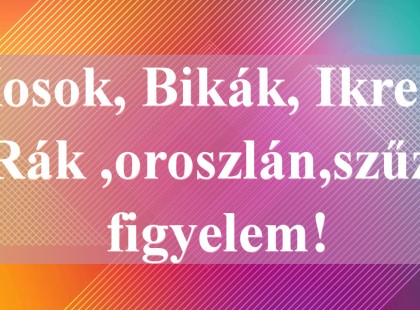 Kosok, Bikák, Ikrek,Rák ,oroszlán,szűz figyelem! Holnapi horoszkóp