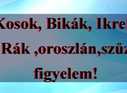 Kosok, Bikák, Ikrek,Rák ,oroszlán,szűz figyelem! Holnapi horoszkóp