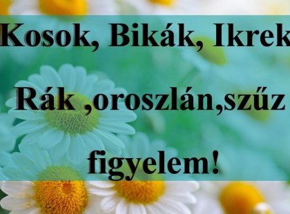 Kosok, Bikák, Ikrek,Rák ,oroszlán,szűz figyelem!