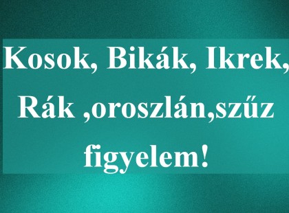 Kosok, Bikák, Ikrek,Rák ,oroszlán,szűz figyelem!holnapi horoszkóp