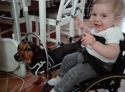 “Ellopták a Zentének összegyűjtött pénz egy részét” – figyelem, csalók élnek vissza a kisfiú nevével