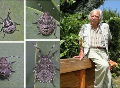 Pár nap múlva brutális poloskainvázió jön! Bálint gazda szerint így kell elbánni velük! - Itt a receptje, ami bizonyítottan működik: