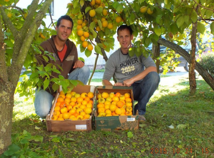 Egyedülálló vállalkozásba kezdett a két magyar fiú testvér! Támogassuk munkájukat nagyon sok megosztással! Hajrá fiúk!