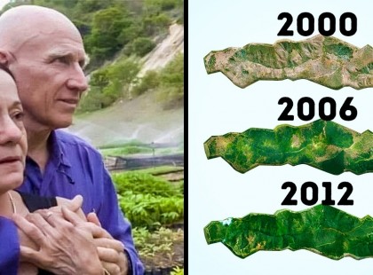 Egy brazil pár 20 éve ültet fákat, így az általuk teremtett erdőbe vadállatok ezrei tértek vissza