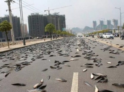 A 12 legkülönlegesebb és legbizarrabb esőzés a bolygón!