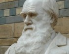 Darwin elmélete az élet megjelenéséről kutatók szerint pontosításra szorul