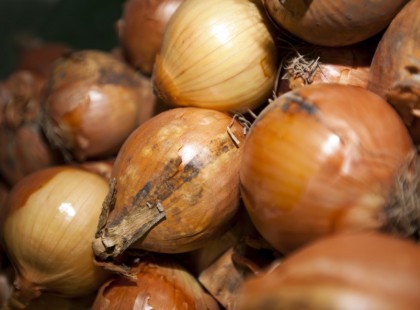 Hagymát kent a szél­vé­dődre, várt egy kicsit, hamarosan alig hitt a szemének