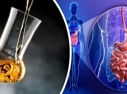 A pálinka remek gyulladáscsökkentő: és ez még CSAK EGY az ezer ok közül, miért jó az egészségnek!