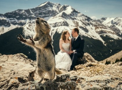 23 esküvői fotó, ahol közel sem az ifjú páré volt a főszerep… :D