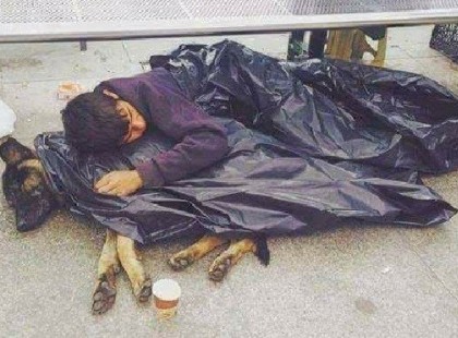 HÁNY <3 -ET ÉRDEMEL A KISFIAM,AKI EZT TETTE HALDOKLÓ KUTYÁJÁÉRT? REMÉLEM TE,AKI ILYEN KEGYETLEN VOLTÁL, MEGKAPOD A MÉLTÓ BÜNTETÉSED!