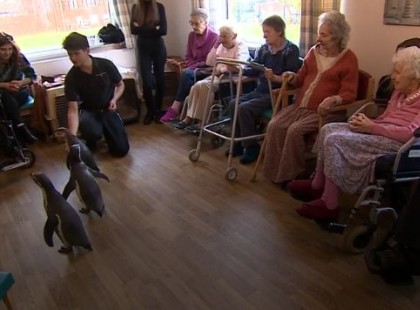 99 évesen vált valóra az álma