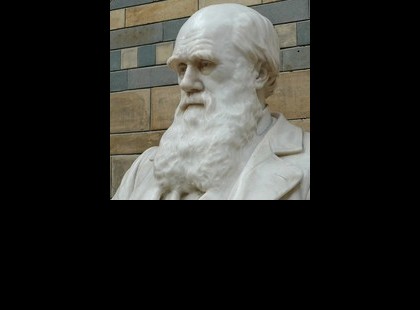 Darwin elmélete az élet megjelenéséről kutatók szerint pontosításra szorul