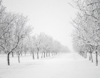 NAGY TÉLI, 4 HÓNAPOS ELŐREJELZÉS DECEMBERRE, JANUÁRRA, FEBRUÁRRA és márciusra! Ledöbbentünk milyen idő VÁRHATÓ december-január-februárban, NEM SEMMI! Ha ez bejön, akkor…