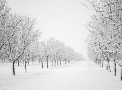 NAGY TÉLI, 4 HÓNAPOS ELŐREJELZÉS DECEMBERRE, JANUÁRRA, FEBRUÁRRA és márciusra! Ledöbbentünk milyen idő VÁRHATÓ december-január-februárban, NEM SEMMI! Ha ez bejön, akkor…