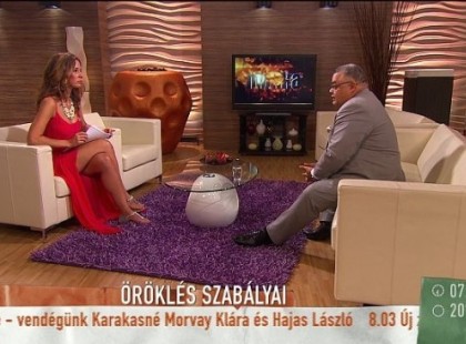 ÉLETBEVÁGÓ VÁLTOZÁS az élettársaknál! 100%-ban törölték az élettársakra vonatkozó ÖRÖKLÉSI TÖRVÉNY legfontosabb FONTOS szabályát! Hatalmas pofont kaptak az élettársak az új törvénnyel!