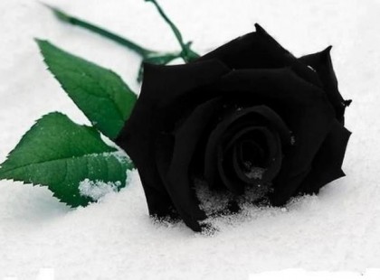 Fel akartalak hívni ma, hogy elmondjam, Szeretlek, de a számod már nem működik. Az operátor azt mondta ezen a néven nincsen szám a telefonkönyvben. Elmentem a házadhoz, de már nem te laksz ott, a postás sem tud további címet. Azt hiszem ez azért van , mert a mennyország túl messze van. Szeretlek, hiányzol. örökké a szívemben élsz. A szeretteink elmentek, de feledésbe nem merülnek. Boldog Karácsonyt mindenkinek odafent!!