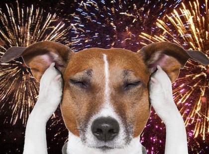 Petárdastoppot kérnek az állatvédők, hogy idén ne haljanak meg az állatok - ha támogatod a kezdeményezést akkor oszd meg és kommentbe jelezd egy szívvel <3