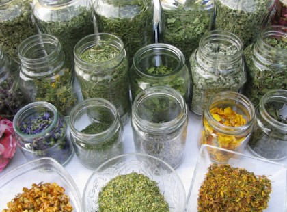 Gyuri bácsi a füvesember tanácsai mindenféle betegségre – MINDENKINEK HASZNOS!