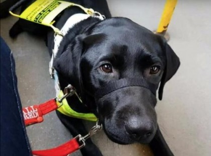 A vak nőt és a kutyáját le akarták küldeni a buszról a kutya fekete színe miatt