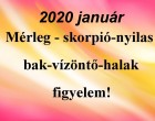 Friss!Megérkezett a nagy 2020-as januári horoszkóp:Mérleg - skorpió-nyilas -bak-vízöntő-halak figyelem!