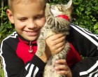 Meghalt Gergő, a kisfiú akiért újra az ország összefogott, Isten Veled Harcos