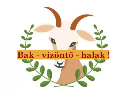 Bak - vízöntő - halak !Sze­ren­cse­ho­rosz­kóp 2020: Most ki­de­rül, mit hoz az újév