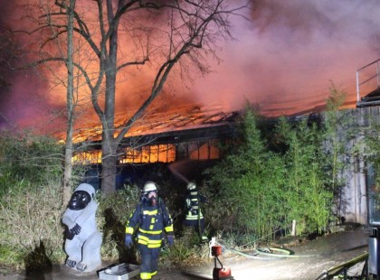 Petárdázók és hőlégballonok miatt leégett egy majomház, rengeteg állat odaveszett