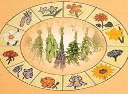 Nagy gyógynövény horoszkóp! Neked melyiket kellene rendszeresen fogyasztanod?