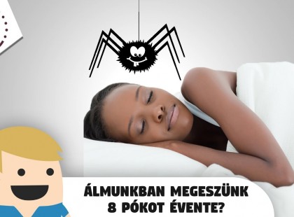 Ez történik, amíg alszol: ennyi pók mászik rád éjszaka, és ennyit eszel meg álmodban