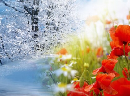 Hétvégén érkezik a tavasz!