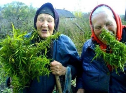 Hatvanéves néni terítette az új „varázsdohányt” Nógrád megyében