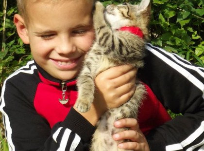 Meghalt Gergő, a kisfiú akiért újra az ország összefogott, Isten Veled Harcos