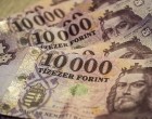 50 ÉV FELETTIEK FIGYELEM! Napokon belül INDUL A VADIÚJ PROGRAM! Havonta 30-40 ezer forint plusz pénzt jelenthet, annak AKI RÉSZ VESZ BENNE! >>>