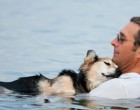 Egy férfi minden nap együtt úszott 19 éves kutyájával, hogy enyhítse fájdalmát