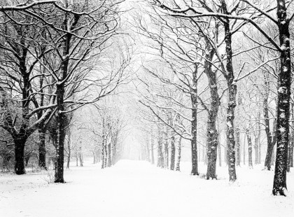 JÖN A HÓ! Viharos szél, hózápor és hideg váltja a tavaszias időt: ekkor ér ide!
