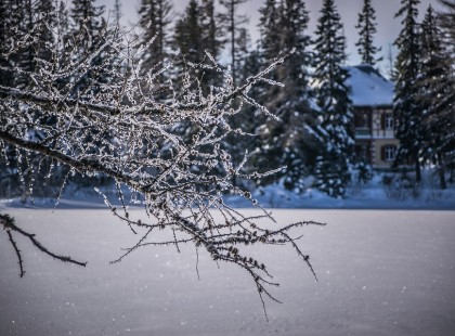Bekeményít a tél, hamarosan jön az igazi tél, mínuszokkal és faggyal