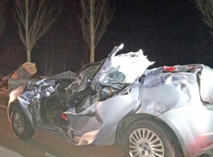 Négygyerekes apa halt meg a kidőlt fa alatt Nemesvitán