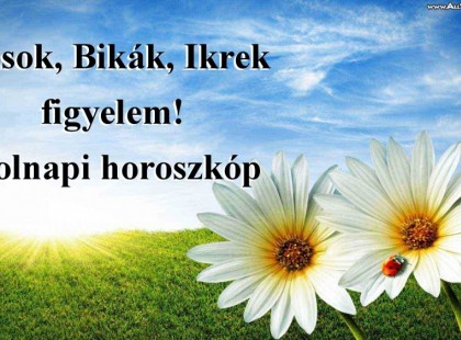 Kosok, Bikák, Ikrek,Rák ,oroszlán,szűz figyelem! Holnapi horoszkóp