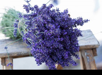 4 tipp, hogy csökkentsd a stresszt az életedben: Mindössze ezeket kell beszerezned otthonra