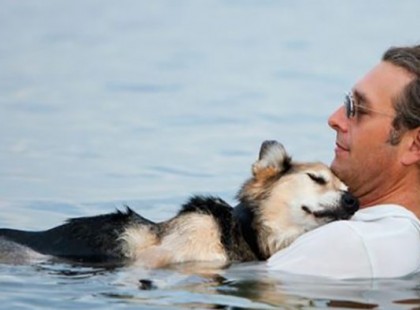 Egy férfi minden nap együtt úszott 19 éves kutyájával, hogy enyhítse fájdalmát