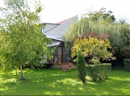 1 perce KÖZÖLTÉK: Drága tavasz vár a családi ház tulajokra: DURVA összeget, 200 EZER forintot fizethetnek ha ilyen fa van a kertben!