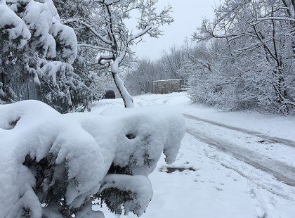 Nagyon durva FORDULAT jön az IDŐJÁRÁSBAN HOLNAP, PÉNTEKEN JÖN A HÓ! PONT ETTŐL FÉLTÜNK! >>>