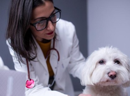 A kutyája a szemét dörzsölte a mancsával, ezért visszanézte a kamerát, hogy mi történt aznap. Amikor jött a postás…