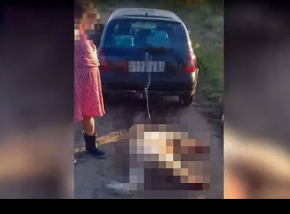 Köpködték, lökdösték a bíróságról távozó balotaszállási kutyakínzó asszonyt az állatvédők – videó