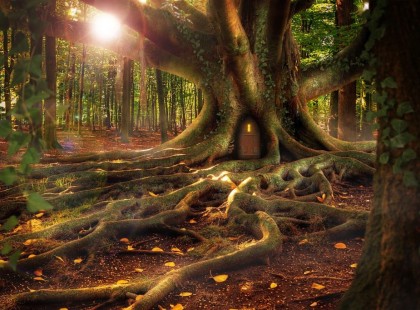 A legpontosabb horoszkóp, amit olvashatsz: pontossága 90-95%!