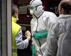 Egy új teória szerint laboratóriumból származik a koronavírus – A tudós az életére esküszik, hogy nem tőlük került ki