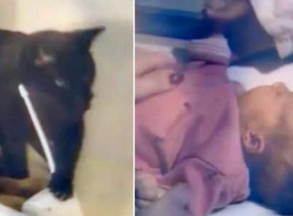 A fekete cica visítva nyávogott a kisbaba szobájában, a szülők lélekszakadva rohantak be